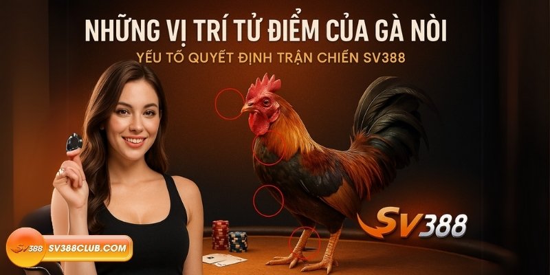 Những vị trí tử điểm của gà nòi – Yếu tố quyết định trận chiến SV388